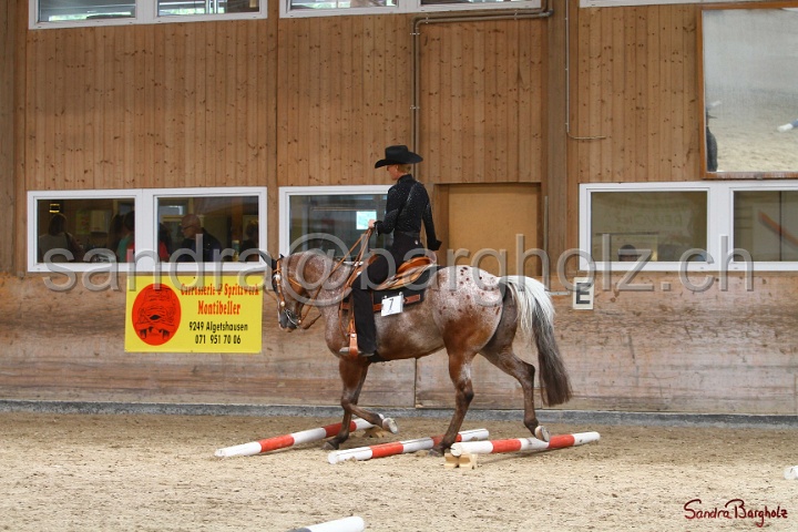 28-ApHC OT_166.jpg